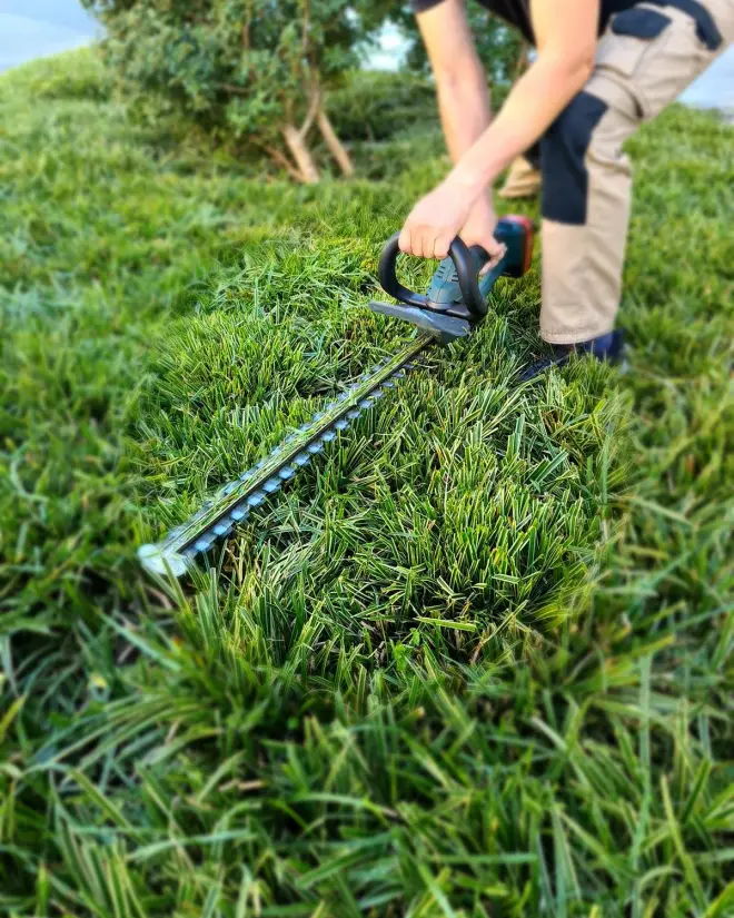Gepflegte Grünanlage nach dem Gartenunterhalt durch AS Facility Services