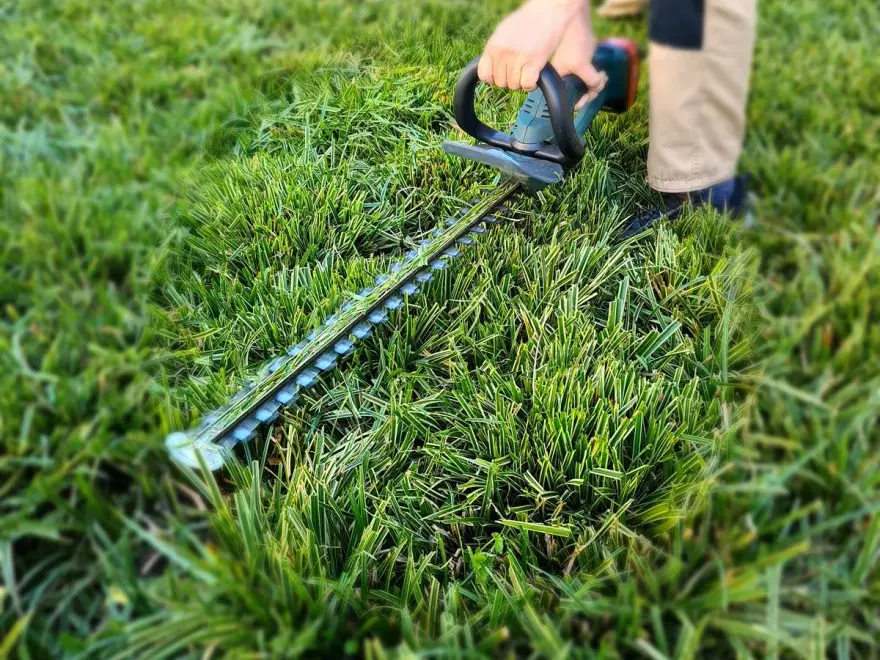 Gepflegte Grünanlage nach dem Gartenunterhalt durch AS Facility Services